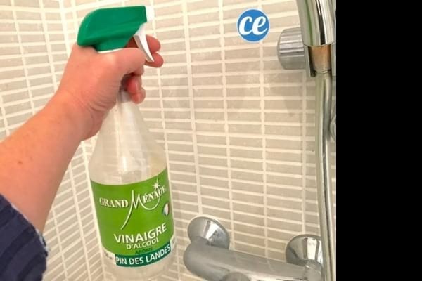 7 Proven Natural Ways to Eliminate Bathroom Mold Effectively