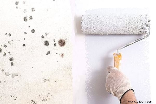 7 Proven Natural Ways to Eliminate Bathroom Mold Effectively