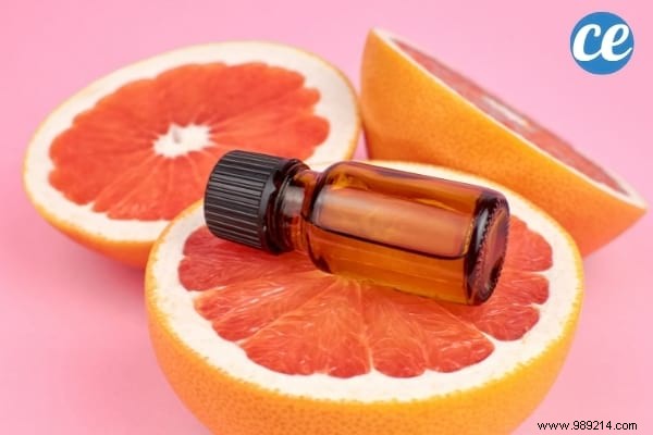 7 Proven Natural Ways to Eliminate Bathroom Mold Effectively