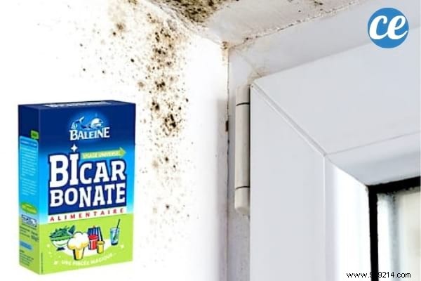 7 Proven Natural Ways to Eliminate Bathroom Mold Effectively