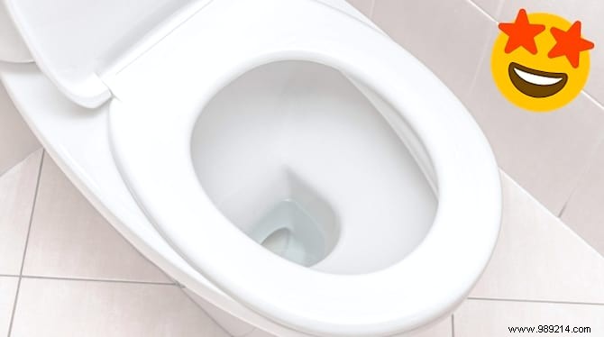 6 Natural Tips for Sparkling Clean Toilets: Proven Home Cleaning Hacks