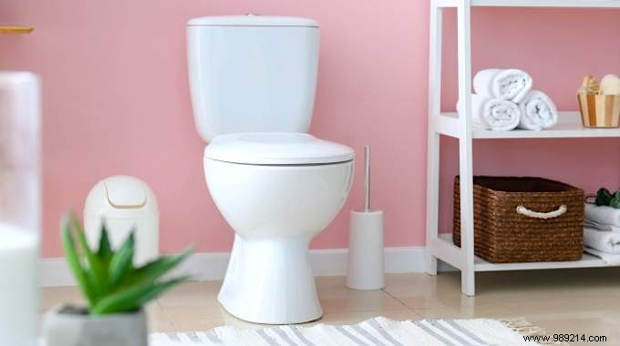 6 Natural Tips for Sparkling Clean Toilets: Proven Home Cleaning Hacks