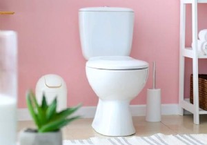 6 Natural Tips for Sparkling Clean Toilets: Proven Home Cleaning Hacks