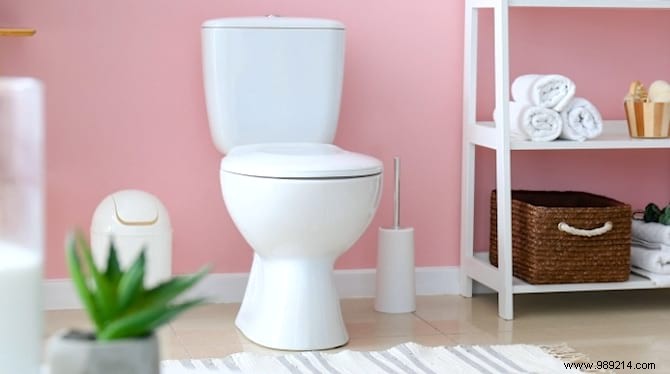6 Natural Tips for Sparkling Clean Toilets: Proven Home Cleaning Hacks