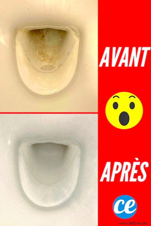 6 Natural Tips for Sparkling Clean Toilets: Proven Home Cleaning Hacks