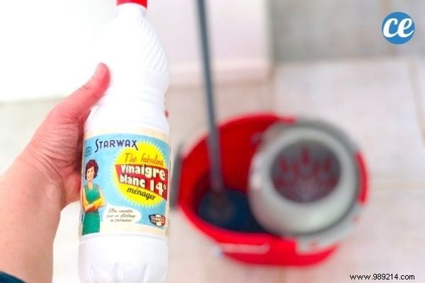 14° White Vinegar: 14 Proven Uses for Expert Home Cleaning and Maintenance