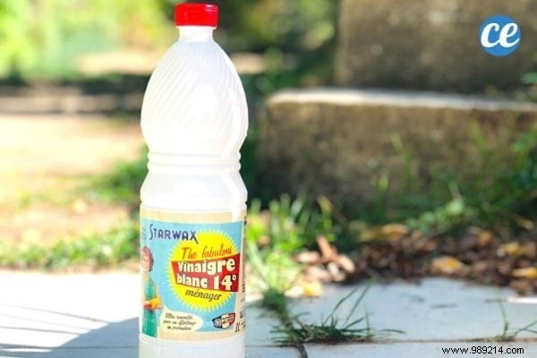 14° White Vinegar: 14 Proven Uses for Expert Home Cleaning and Maintenance