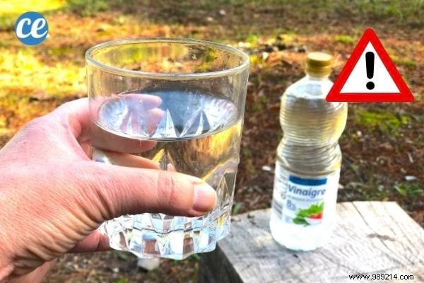 Is It Safe to Drink White Vinegar? Benefits, Risks, and Expert Guidance