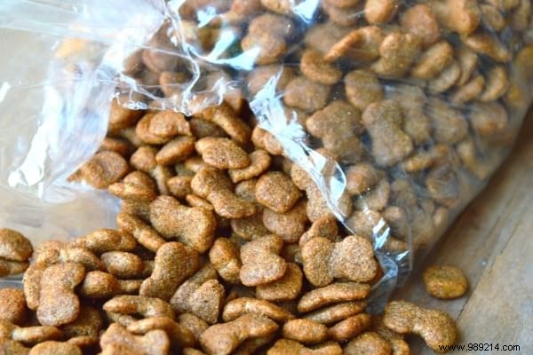 20 Pantry Foods That Attract Moths: Expert Tips to Protect Your Kitchen