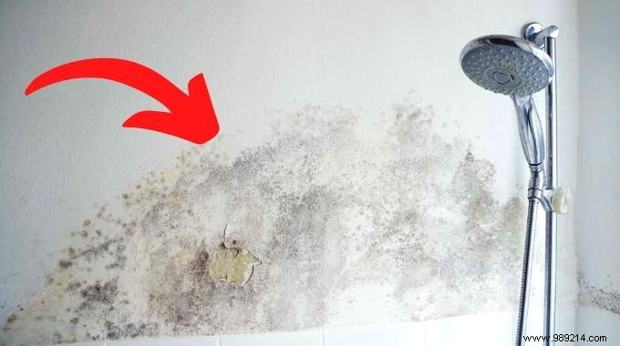 8 Proven Tips to Eliminate Humidity in a Windowless Bathroom