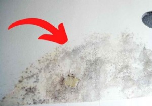 8 Proven Tips to Eliminate Humidity in a Windowless Bathroom