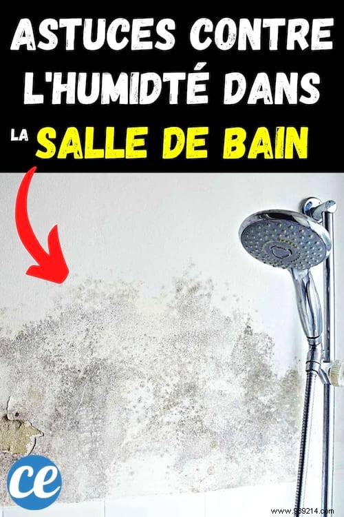 8 Proven Tips to Eliminate Humidity in a Windowless Bathroom