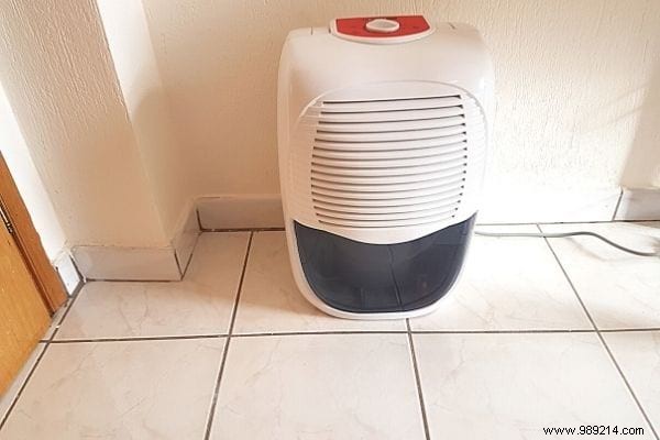 8 Proven Tips to Eliminate Humidity in a Windowless Bathroom