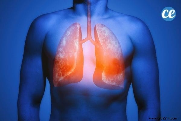 Why Avoid Drying Clothes Indoors: Health Risks Backed by Science and Expert Tips