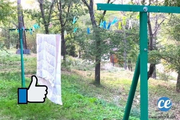 Why Avoid Drying Clothes Indoors: Health Risks Backed by Science and Expert Tips