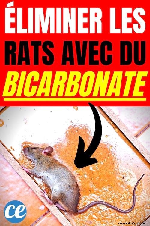 Proven Natural Rat Killer: Baking Soda and Toothpaste Bait – Plus Humane Alternatives