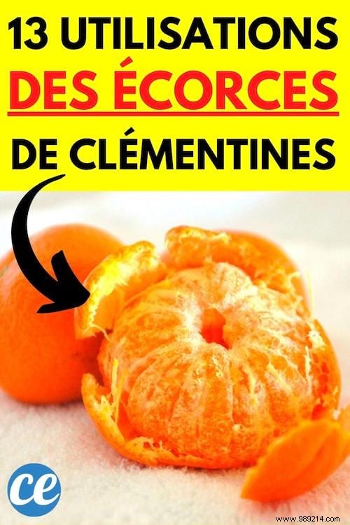 13 Genius Ways to Repurpose Clementine Peels – Zero Waste Tips from a Waste-Reduction Expert