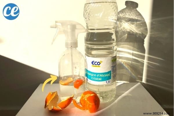 13 Genius Ways to Repurpose Clementine Peels – Zero Waste Tips from a Waste-Reduction Expert