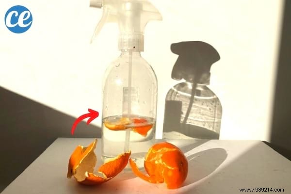 13 Genius Ways to Repurpose Clementine Peels – Zero Waste Tips from a Waste-Reduction Expert