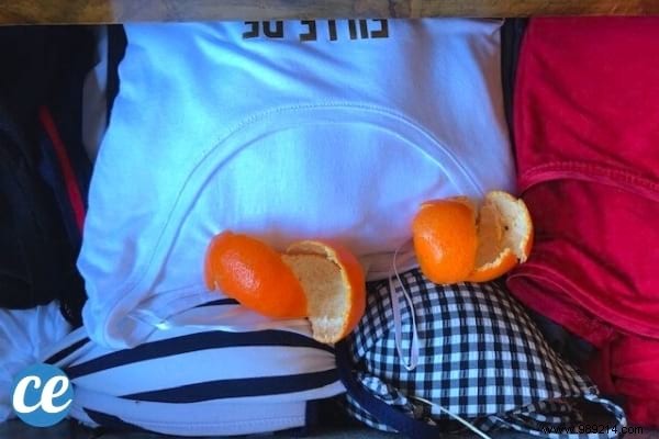 13 Genius Ways to Repurpose Clementine Peels – Zero Waste Tips from a Waste-Reduction Expert