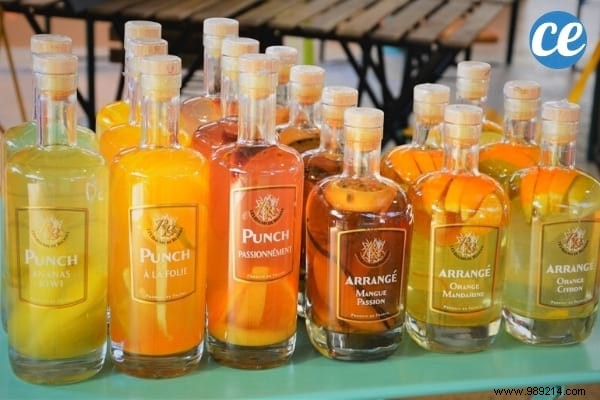 13 Genius Ways to Repurpose Clementine Peels – Zero Waste Tips from a Waste-Reduction Expert