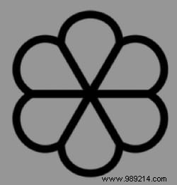 Where to Put Detergent in Your Washing Machine: Expert Guide to Trays and Symbols