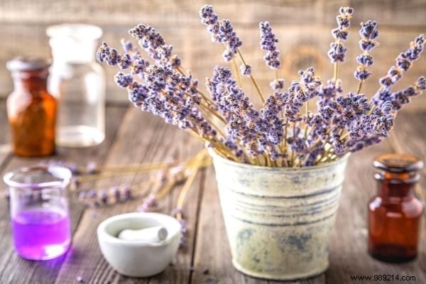 4 Natural Ways to Make Homemade Laundry Smell Fresh (No Essential Oils Needed)