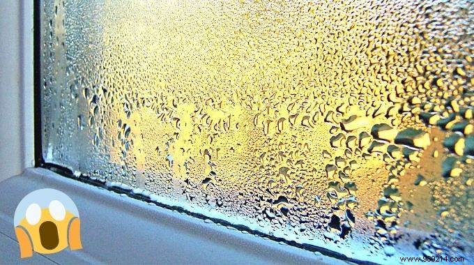 17 Proven Tips to Eliminate Window Condensation and Prevent Mold