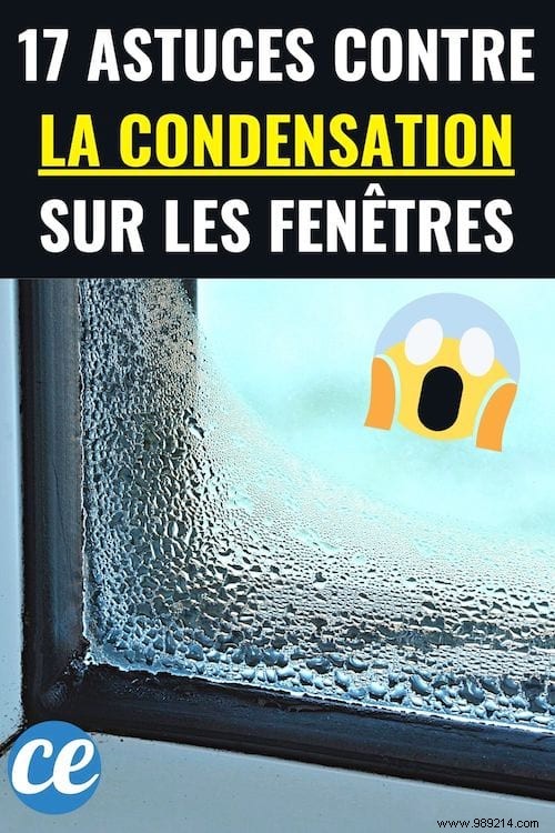 17 Proven Tips to Eliminate Window Condensation and Prevent Mold