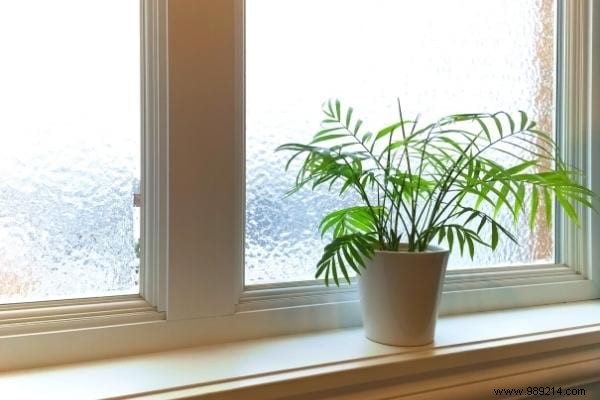 17 Proven Tips to Eliminate Window Condensation and Prevent Mold