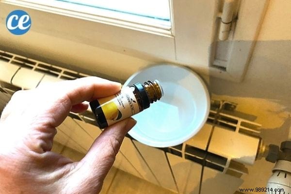 11 Proven Natural Ways to Humidify Your Home Without a Humidifier