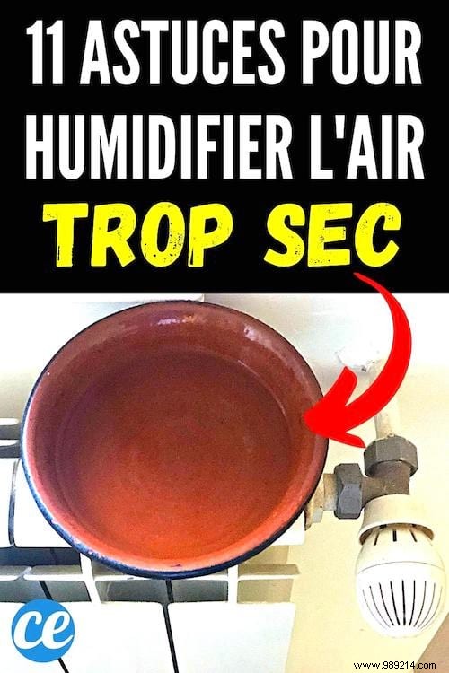 11 Proven Natural Ways to Humidify Your Home Without a Humidifier