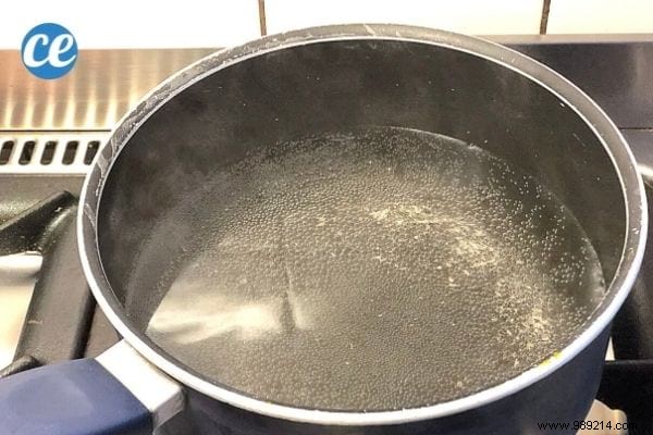 11 Proven Natural Ways to Humidify Your Home Without a Humidifier