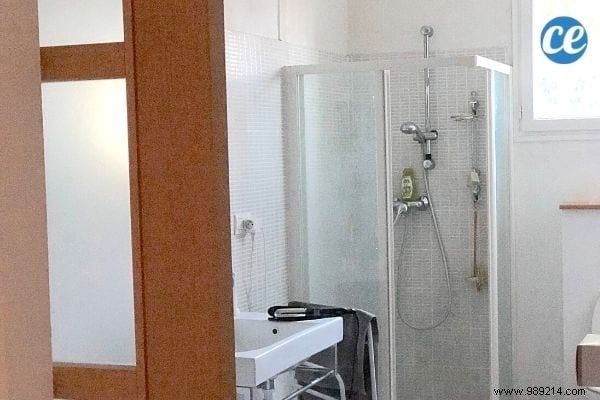 11 Proven Natural Ways to Humidify Your Home Without a Humidifier