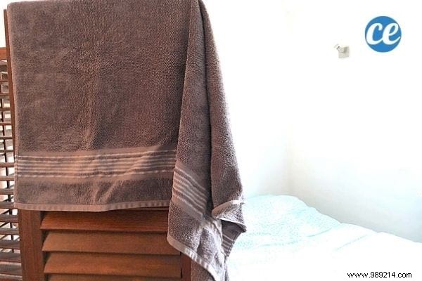 11 Proven Natural Ways to Humidify Your Home Without a Humidifier