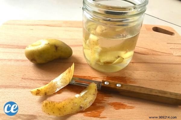 Homemade Dish Soap from Potato Peels: Grandma s Proven Natural Recipe