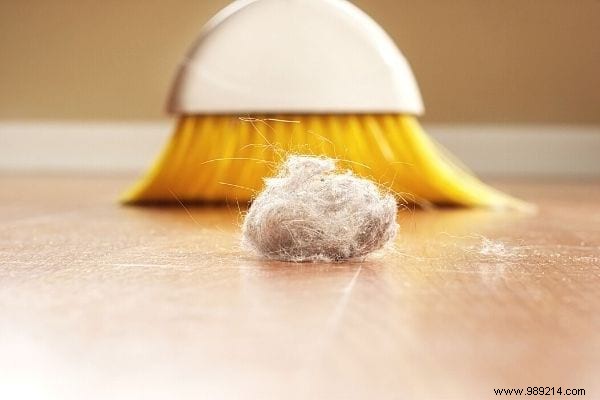 How Often Should You Dust Your Home? Proven Schedule and Expert Tips