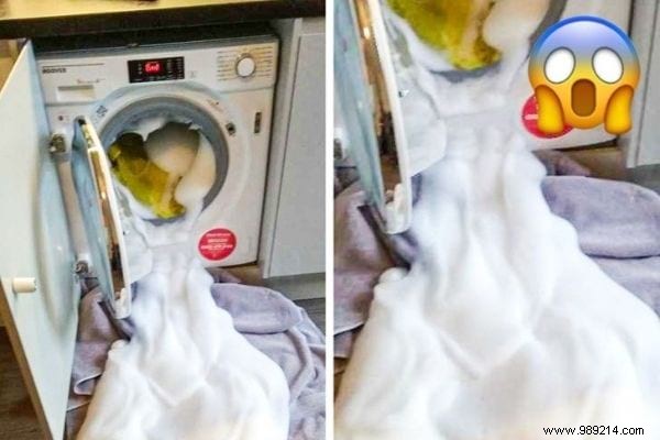 10 Things You Should Never Clean with Dish Soap: Expert Cleaning Advice