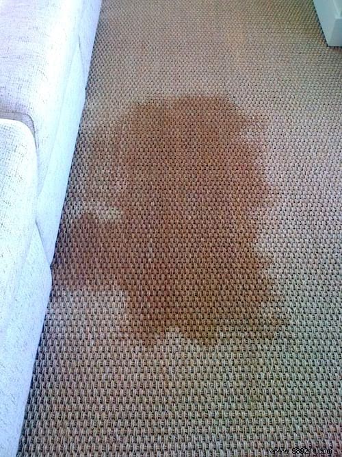 How to Deep Clean a Seagrass Rug Naturally: Grandma s Vinegar and Baking Soda Method
