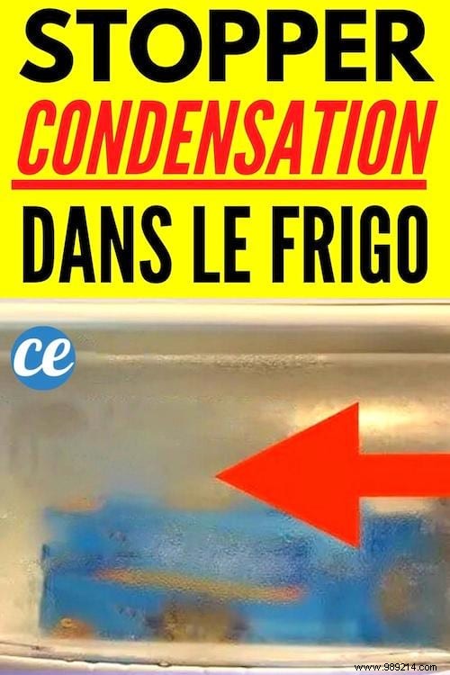 8 Expert Tips to Eliminate Fridge Condensation Quickly and Easily