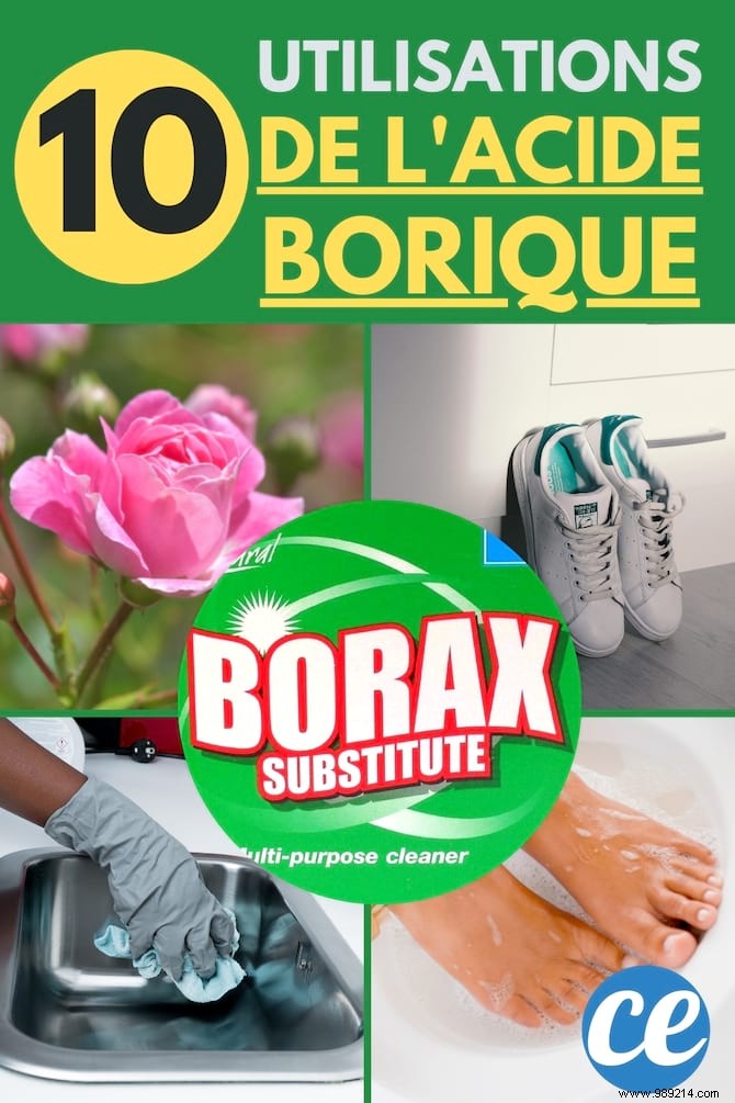 10 Surprising Boric Acid Uses for Cleaning, Pest Control & Home Care