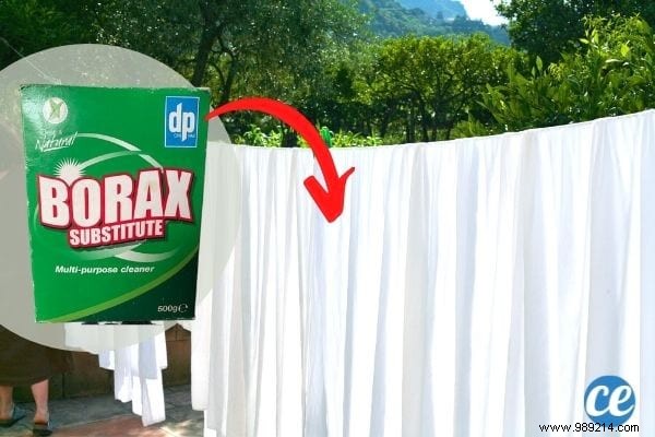 10 Surprising Boric Acid Uses for Cleaning, Pest Control & Home Care