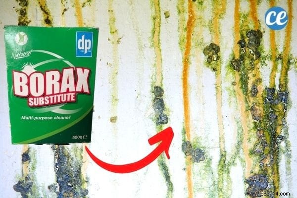 10 Surprising Boric Acid Uses for Cleaning, Pest Control & Home Care