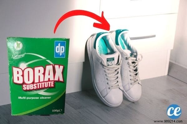 10 Surprising Boric Acid Uses for Cleaning, Pest Control & Home Care