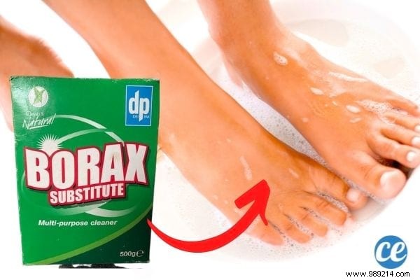 10 Surprising Boric Acid Uses for Cleaning, Pest Control & Home Care