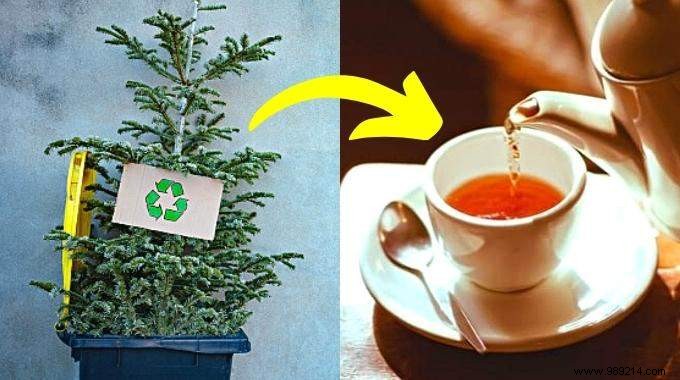 10 Expert Tips to Recycle Your Christmas Tree and Give It a Second Life