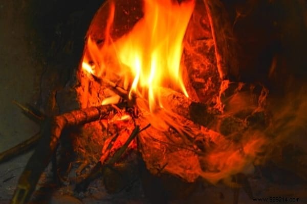 10 Expert Tips to Recycle Your Christmas Tree and Give It a Second Life