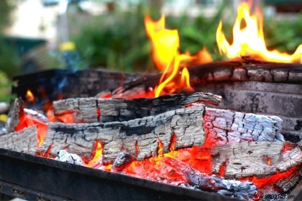 10 Expert Tips to Recycle Your Christmas Tree and Give It a Second Life