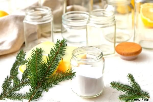 10 Expert Tips to Recycle Your Christmas Tree and Give It a Second Life