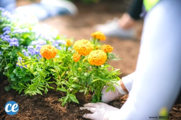 89 Free and Fun Things to Do When Bored: Proven Ways to Beat Boredom